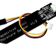 Capacitive Soil Moisture Sensor Price in Chengalpattu