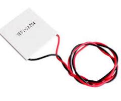 12704 Peltier Price in Coimbatore